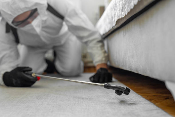 Professional Termite Control technician working in McFarland, WI