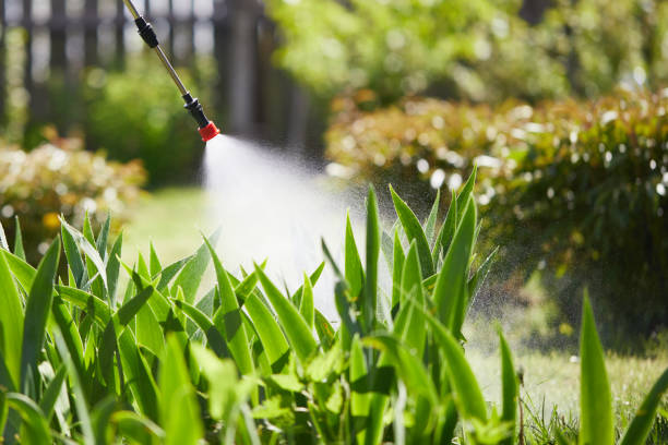 24/7 Emergency Termite Control experts in McFarland, WI