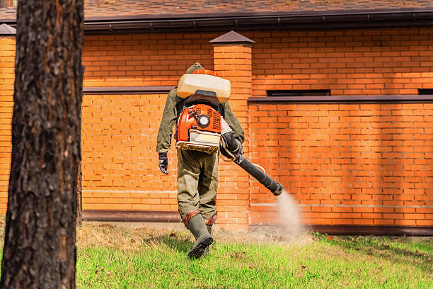 Top rated local Termite Control specialists in McFarland, WI